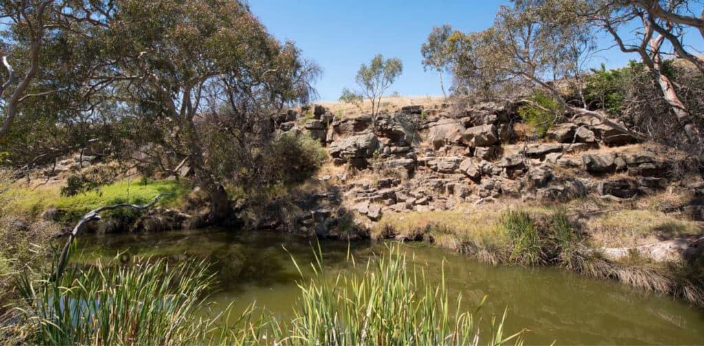 Green Space At Seventh Bend Estate