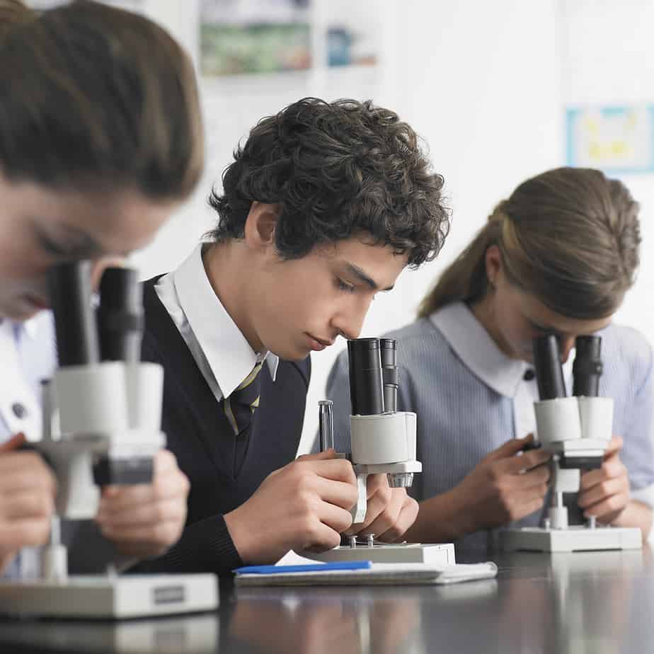 Schools near seventh Bend Estate